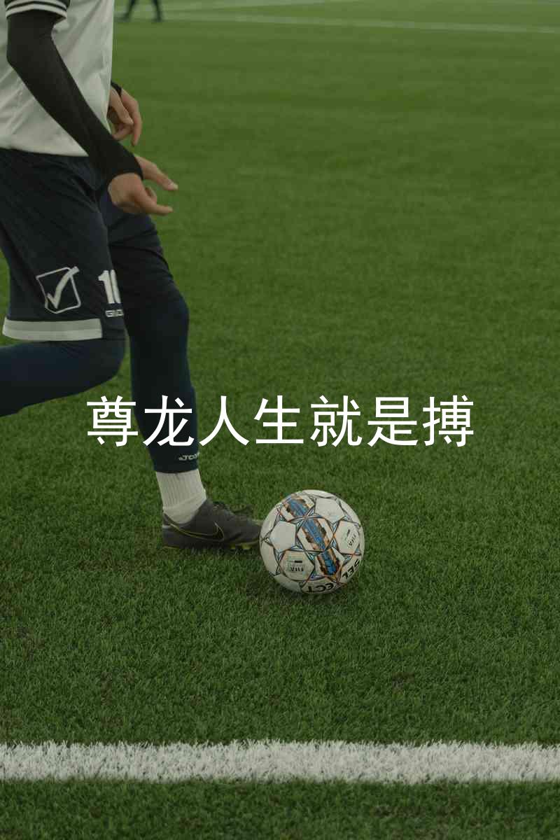 尊龙人生就是搏