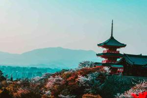 尊龙凯时登录入口的未来愿景：倾听用户，重新定义卓越体验