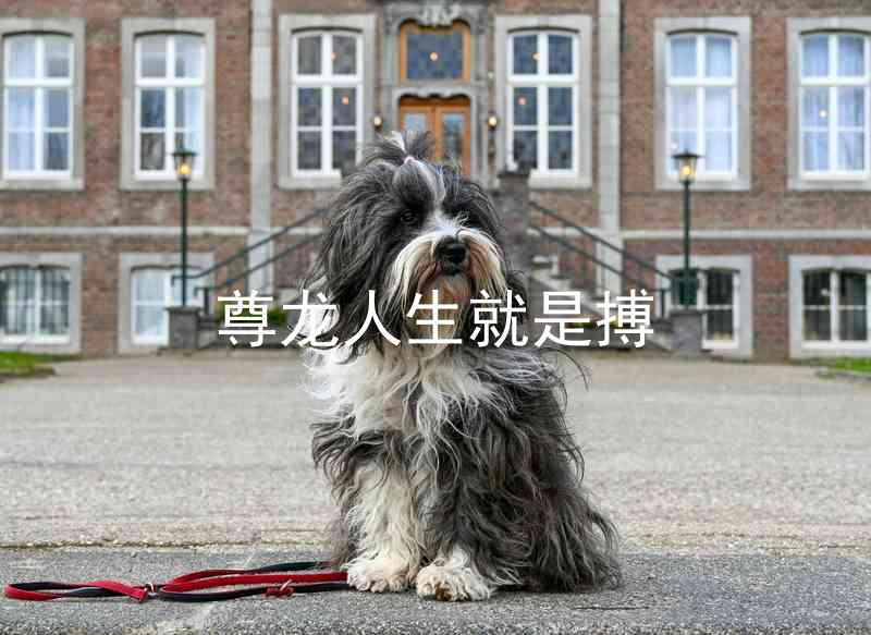 尊龙人生就是搏