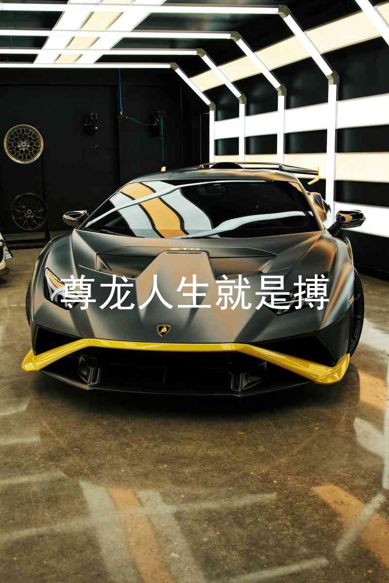尊龙人生就是搏