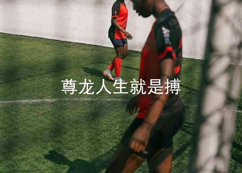 尊龙人生就是搏